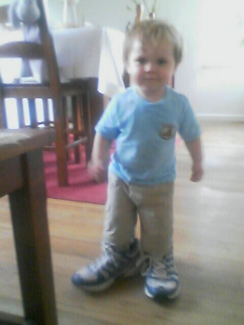 The Shoe Consultants