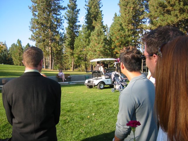 theguestswatchthewilsonsdeparture.jpg