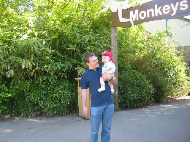 monkeys.jpg