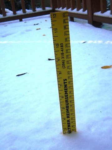 almostthreeinchesofsnow.jpg