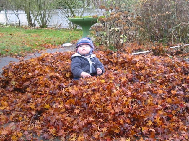 autumnleaves.jpg