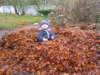 autumnleaves_small.jpg