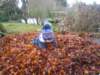 crawlingthroughtheleaves_small.jpg