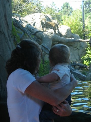 liliandmummytrytogetthejaguartocomecloser.jpg