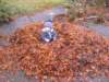 lilihelpsdaddygathertheleaves_small.jpg