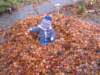 liliplayingintheleaves_small.jpg