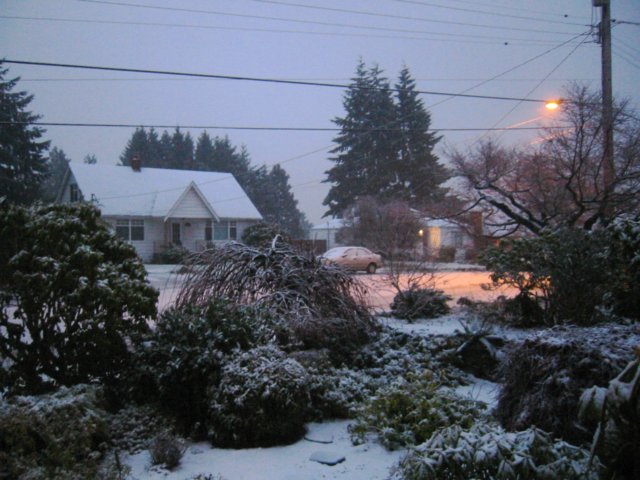 snow.jpg