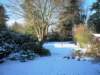 snowybackyard_small.jpg