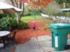 liamisofftosortouttheleaves_small.jpg