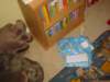 october4thandsomethinghasarrivedfromengland_small.jpg