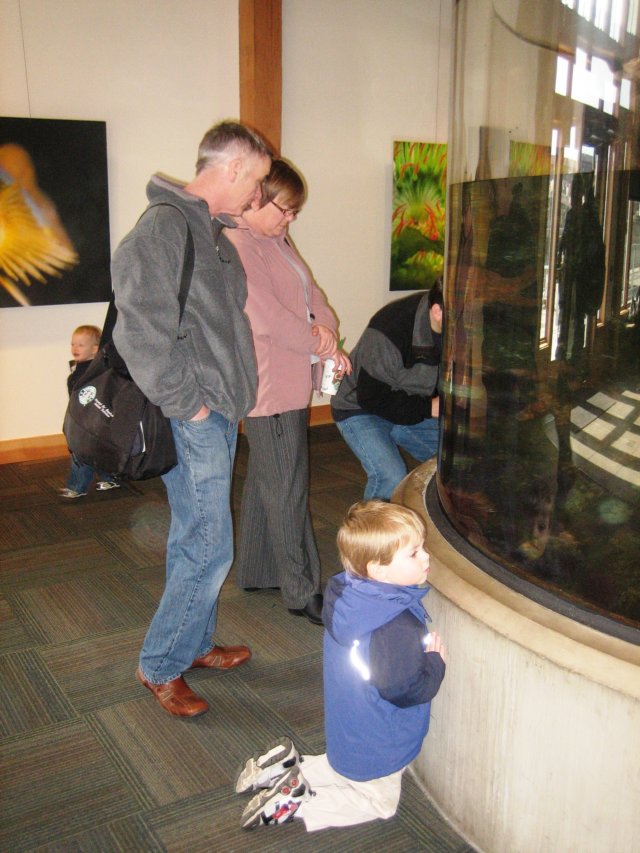 attheaquarium.jpg