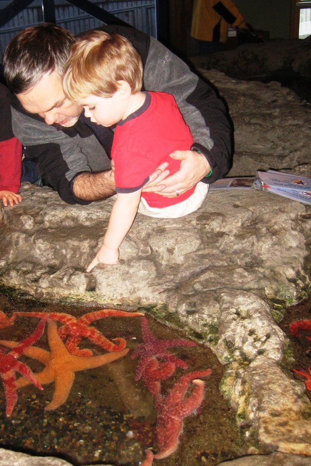 attheaquarium2.jpg