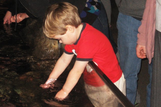 attheaquarium4.jpg