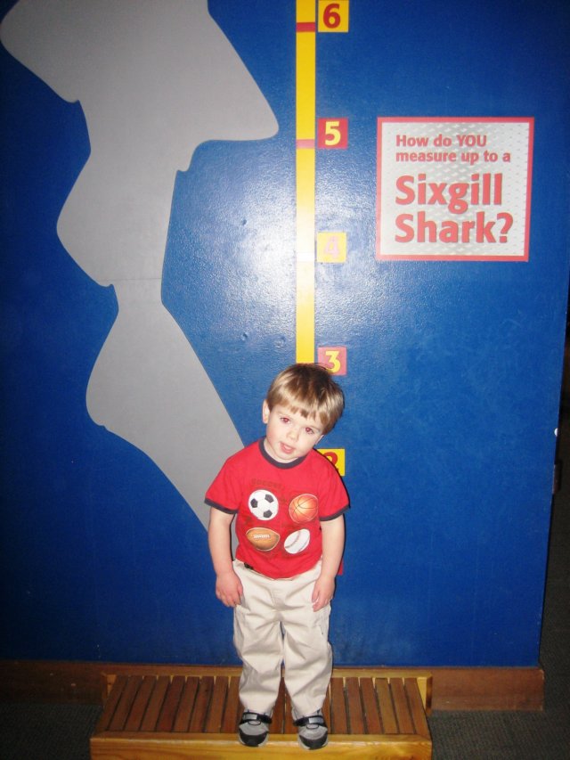attheaquarium7.jpg