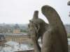 gargoylelooksoutfromnotredame_small.jpg
