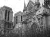 notredameinblackandwhite_small.jpg