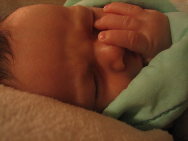 jackasleep2.jpg