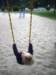 liliontheswing_small.jpg