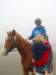 lilipettingthehorses_small.jpg