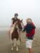 prettyhorses_small.jpg