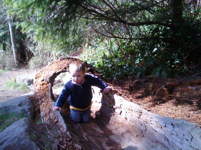 atcarkeekpark6.jpg