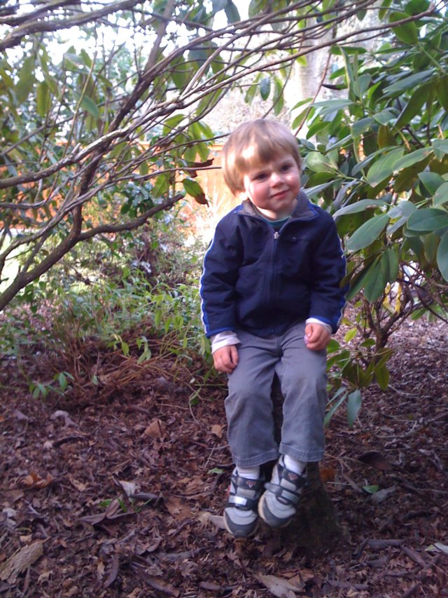 liaminthehundredthacrewood.jpg