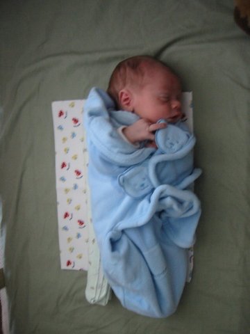 swaddledathome.jpg