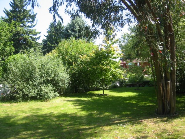 bushesandtrees.jpg