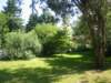 bushesandtrees_small.jpg