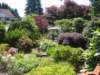 frontyard_small.jpg