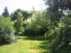 lookingtowardsthehousefromthebackyard_small.jpg