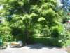 patioandbackyard_small.jpg