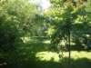 treesandbusheseverywhere_small.jpg