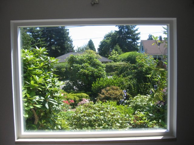viewoffrontyardfromlivingroomwindow.jpg
