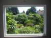 viewoffrontyardfromlivingroomwindow_small.jpg