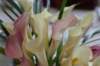 weddingflowers_small.jpg