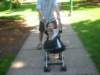 daddytriestohelpsteer_small.jpg