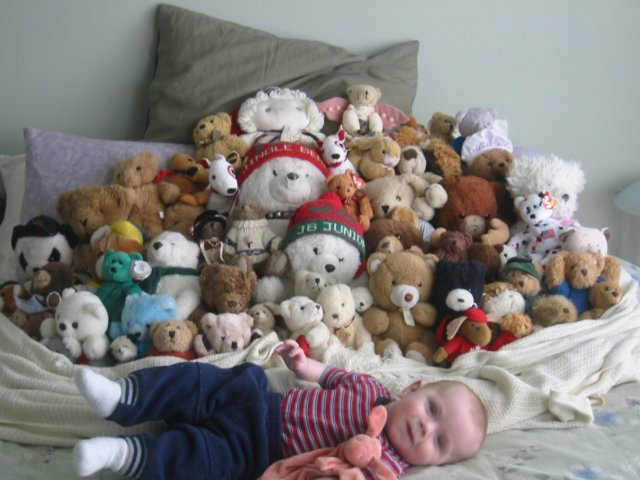 liliandthebears.jpg