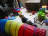 thefrontroomlookslikeanexplosionattoysrus_small.jpg