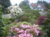 thefrontyardbeginstobloom_small.jpg