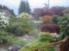 viewfromthediningroom_small.jpg