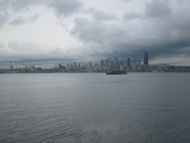 viewofseattlefromourtableatsaltys.jpg