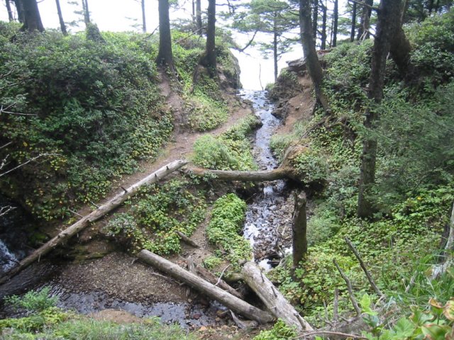 creekatoswaldweststatepark.jpg