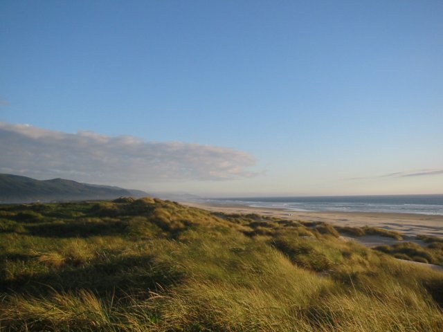 dunesonmanzanitabeach.jpg