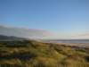 dunesonmanzanitabeach_small.jpg