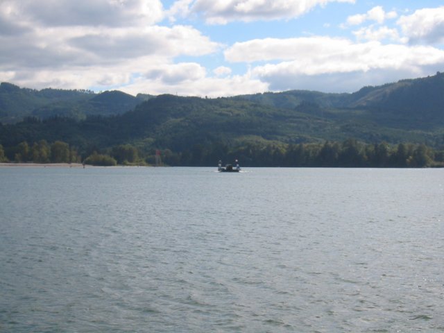 herecomestheferry.jpg