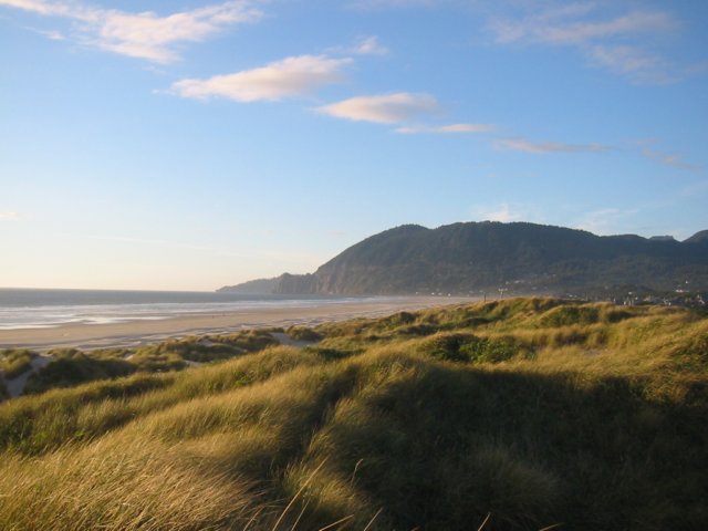 lookingnorthonmanzanitabeach.jpg