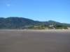 manzanitabeach_small.jpg