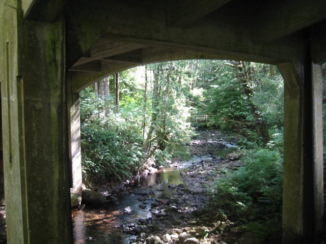 underthebridgeoswaldweststatepark.jpg