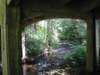 underthebridgeoswaldweststatepark_small.jpg